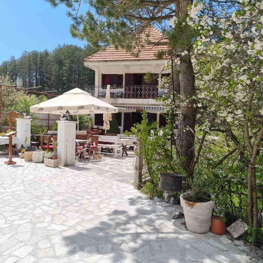 Porto Njegusi A2 Apartment Cetinje Luaran gambar